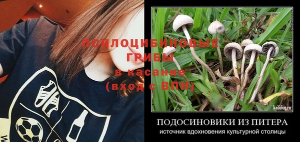 прущие грибы Нея