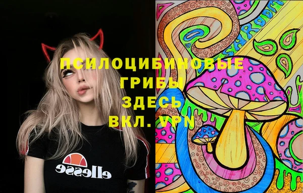 герыч Алексин