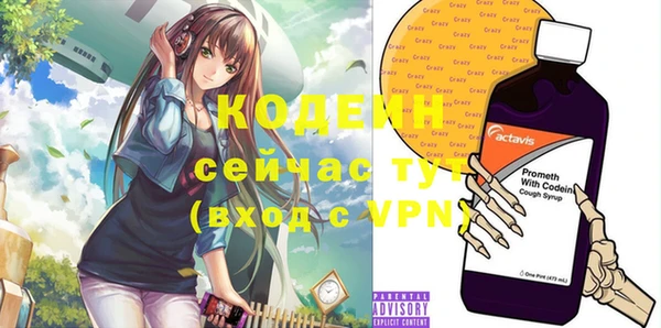 хмурый Абаза